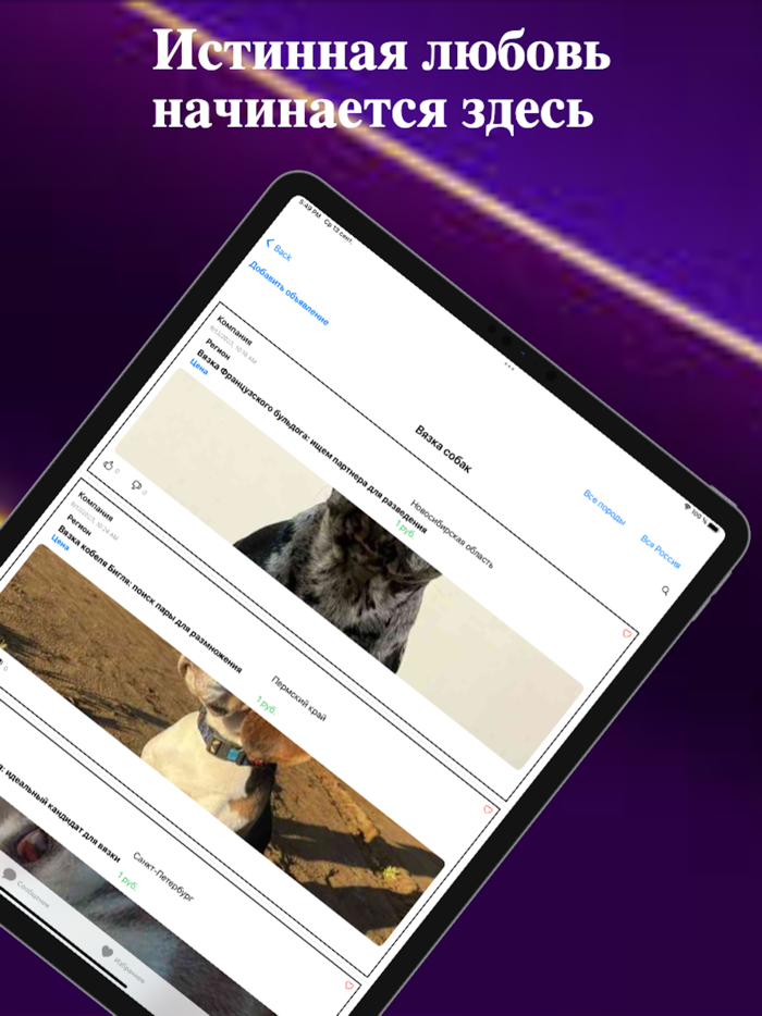 TicDog выбор домашних животных