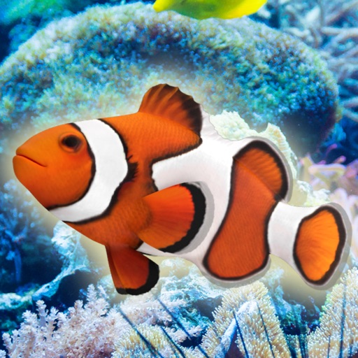 Touch the fish! - Aquarium Sim