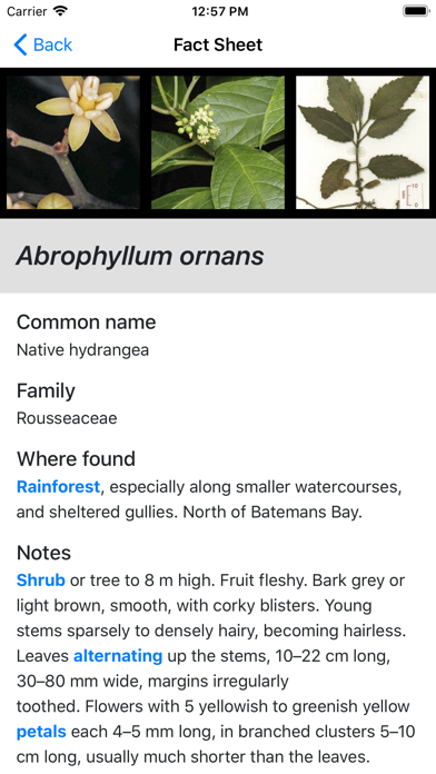 Plants of South Eastern NSW Screenshot