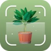 PlantFind : Plant Identifier