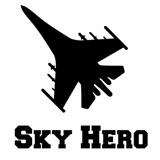 Air Force Sky Fighter Jet Game iOS App