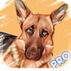 Dog Breed Identifier PRO - Jorge Gregorio Martin Bello
