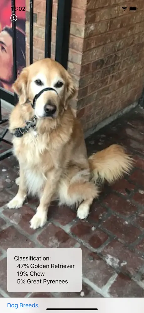 Dog Breed Camera