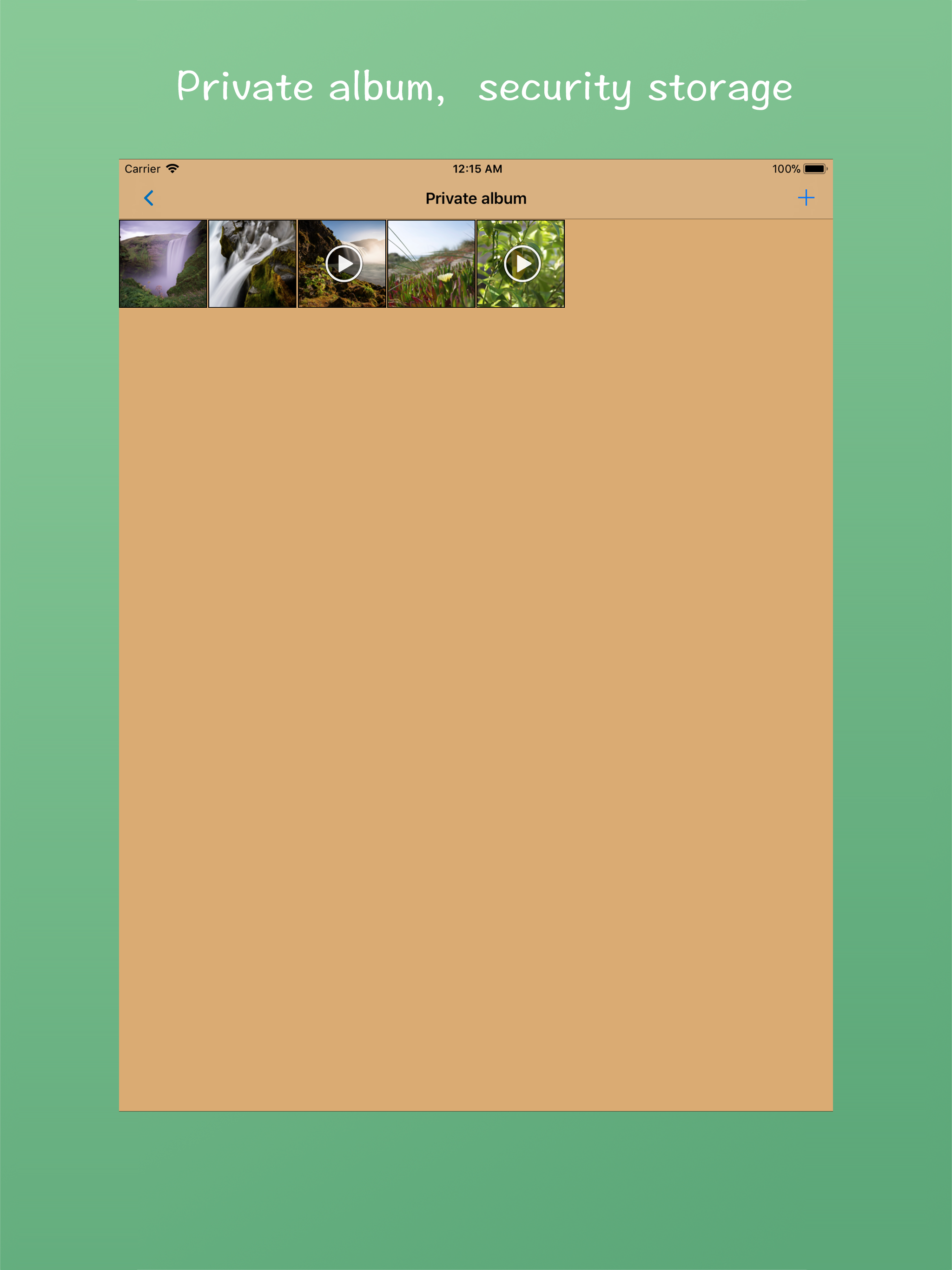 iVault, Private photo albums
