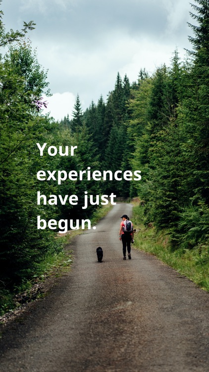 Artible City screenshot-5