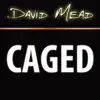David Mead : CAGED App Feedback