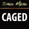 Similar David Mead : CAGED Apps