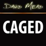 David Mead : CAGED App Problems