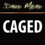 David Mead : CAGED app download