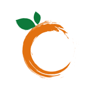橙一健康-有温度的居家医养服务平台