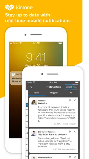 kintone screenshot 3