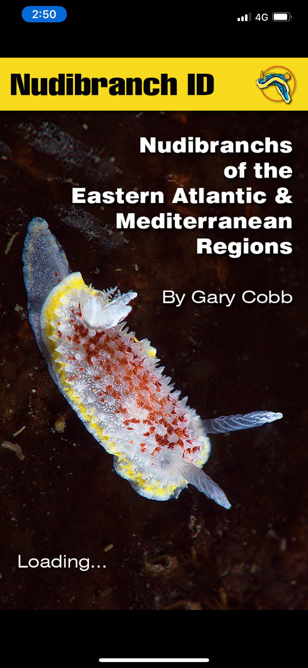 Nudibranch ID E Atlantic Med