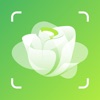 Plant Identification - PlantAD icon