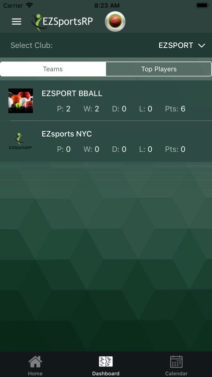 EZSportsRP screenshot-3
