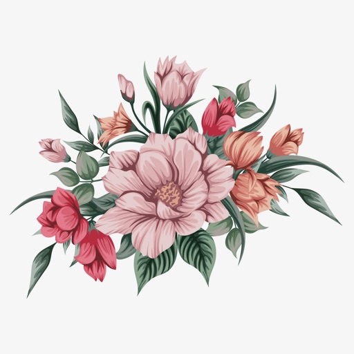 Flower Blossom icon