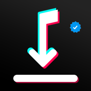SnapTik - Téléchargeur  Tiktok
