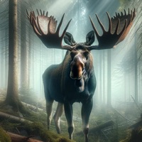 Moose Hunting Calls app icon - Sports app for iPhone