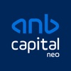 anb capital – neo icon