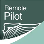 Prepware Remote Pilot App Cancel