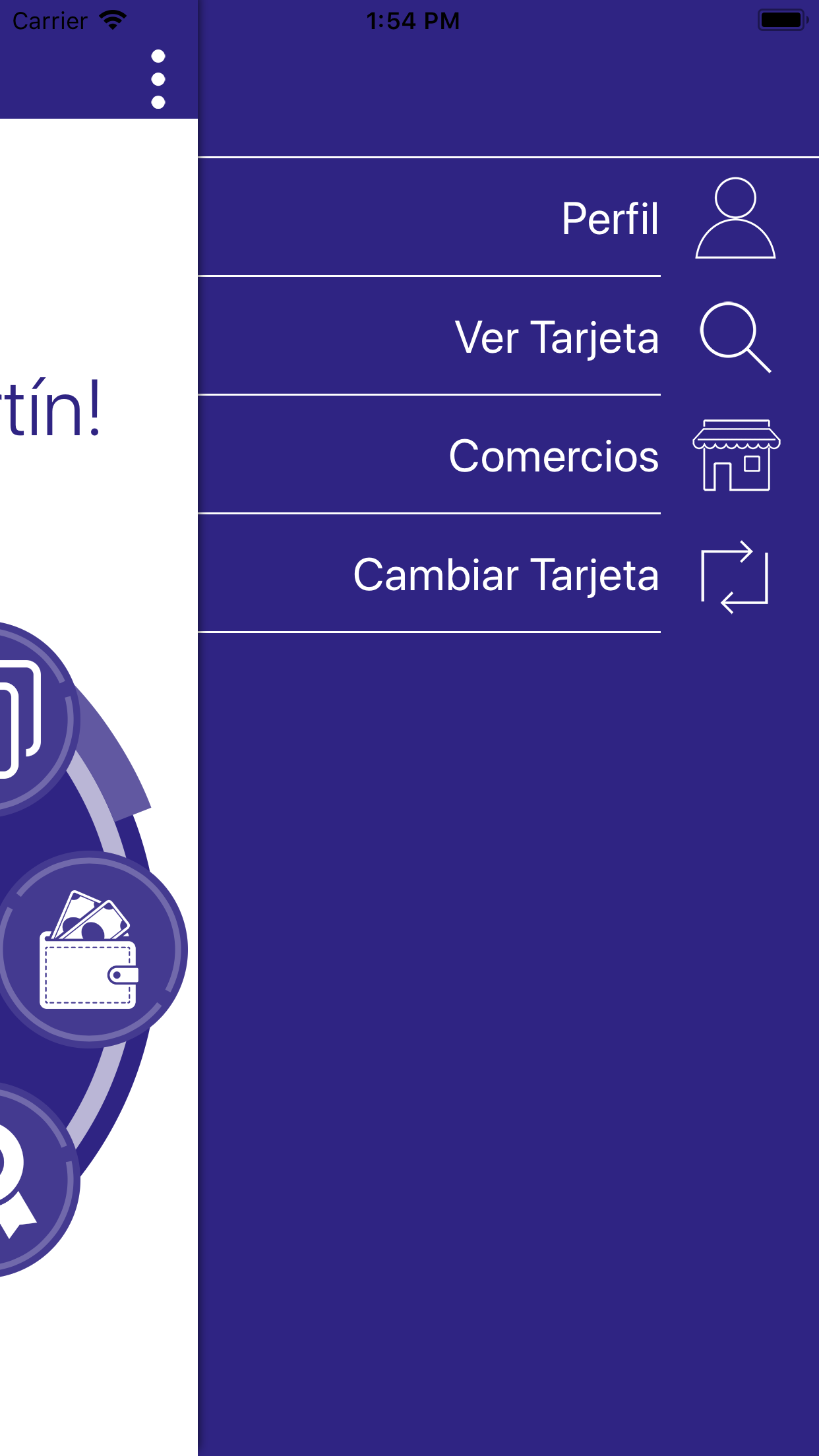 Delfi Oil screenshot 4