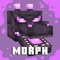 Icon Morph Mods for Minecraft •