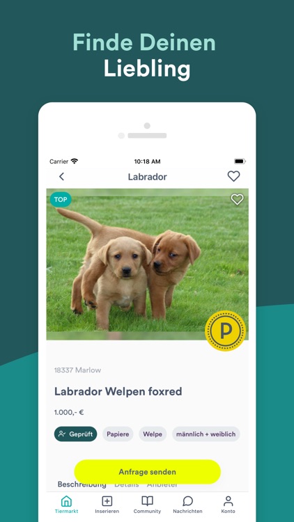 DeineTierwelt screenshot-3
