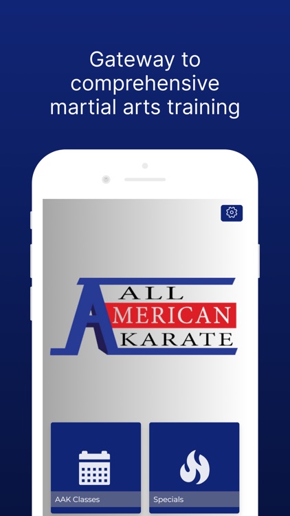 All American Karate