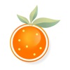 Grocery Quest icon