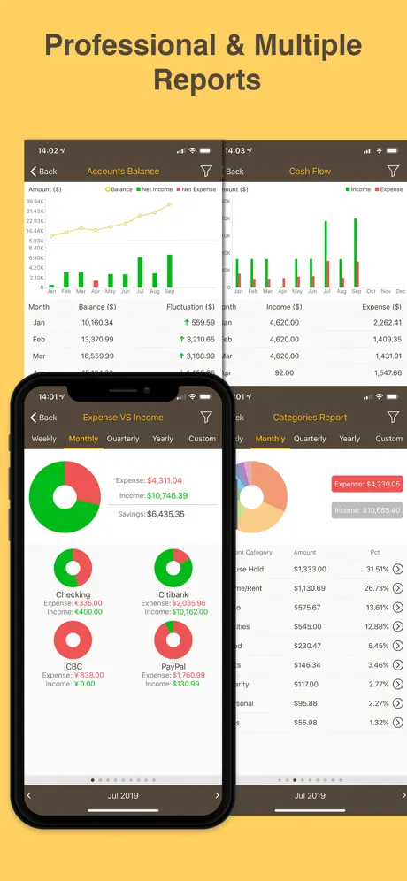 Money Monitor Pro