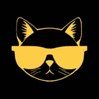 Solo Cat