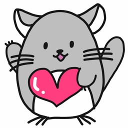 Chinchilla Minny 3