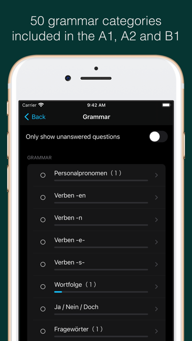 German Vocabulary and Grammar Screenshot