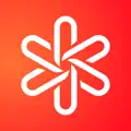 DENT eSIM Phone Internet