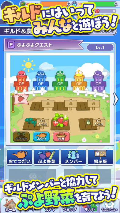 ぷよぷよ クエスト 簡単操作で大連鎖 爽快 パズル By Sega Corporation Ios 日本 Searchman アプリマーケットデータ