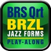 BRS Quartet BRAZIL Play Along icon