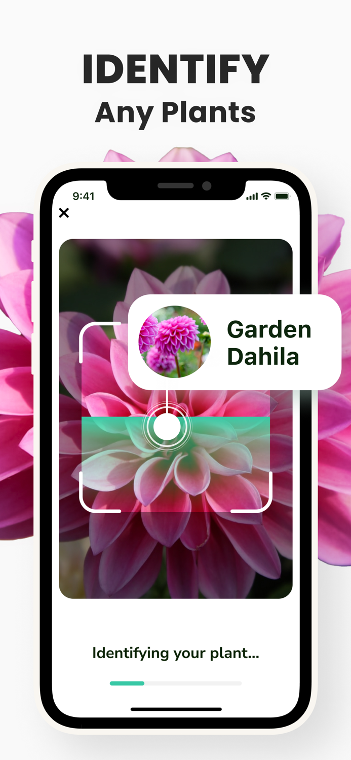 Plant Identifier - PlantMe