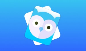 Flippy • Learn Flashcards