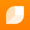 Healthy Home Coach - Legrand - Netatmo – Bticino