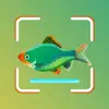 Fish ID - Fish Identifier App Negative Reviews