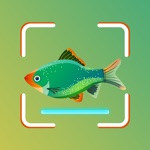 Download Fish ID - Fish Identifier app