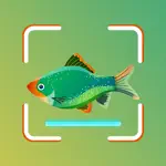 Fish ID - Fish Identifier App Contact