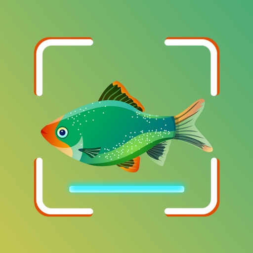 Fish ID - Fish Identifier