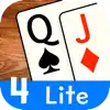 Pinochle Lite problems & troubleshooting and solutions