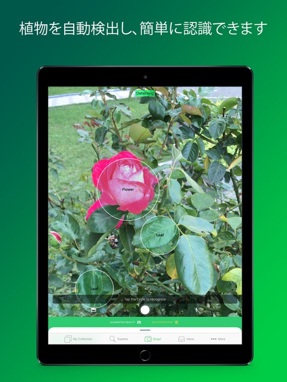 PlantSnap - identify plantsのおすすめ画像2