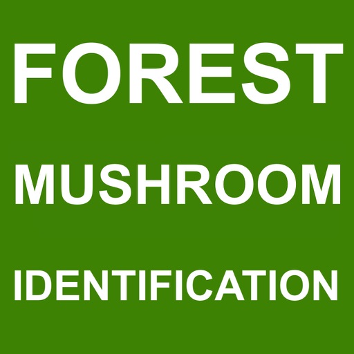 Forest Mushroom Identification