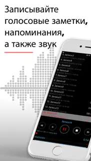 Диктофон - Для Записи Звука айфон картинки 1