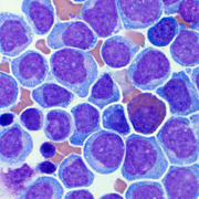 Cell Labeller