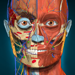 Anatomy Learning - 3D анатомия на пк