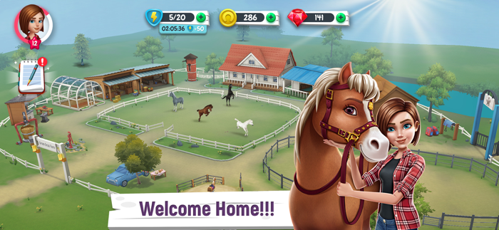 My Horse Stories