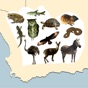 Stuarts Natural History Guide app download